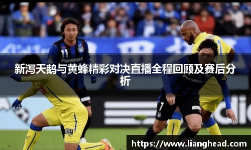 新泻天鹅与黄蜂精彩对决直播全程回顾及赛后分析